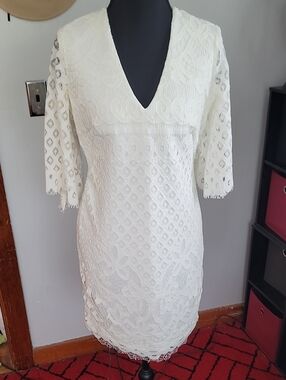 Boston Proper Alexia Admor Ivory Lace V-Neck Mini Dress size xsmall
